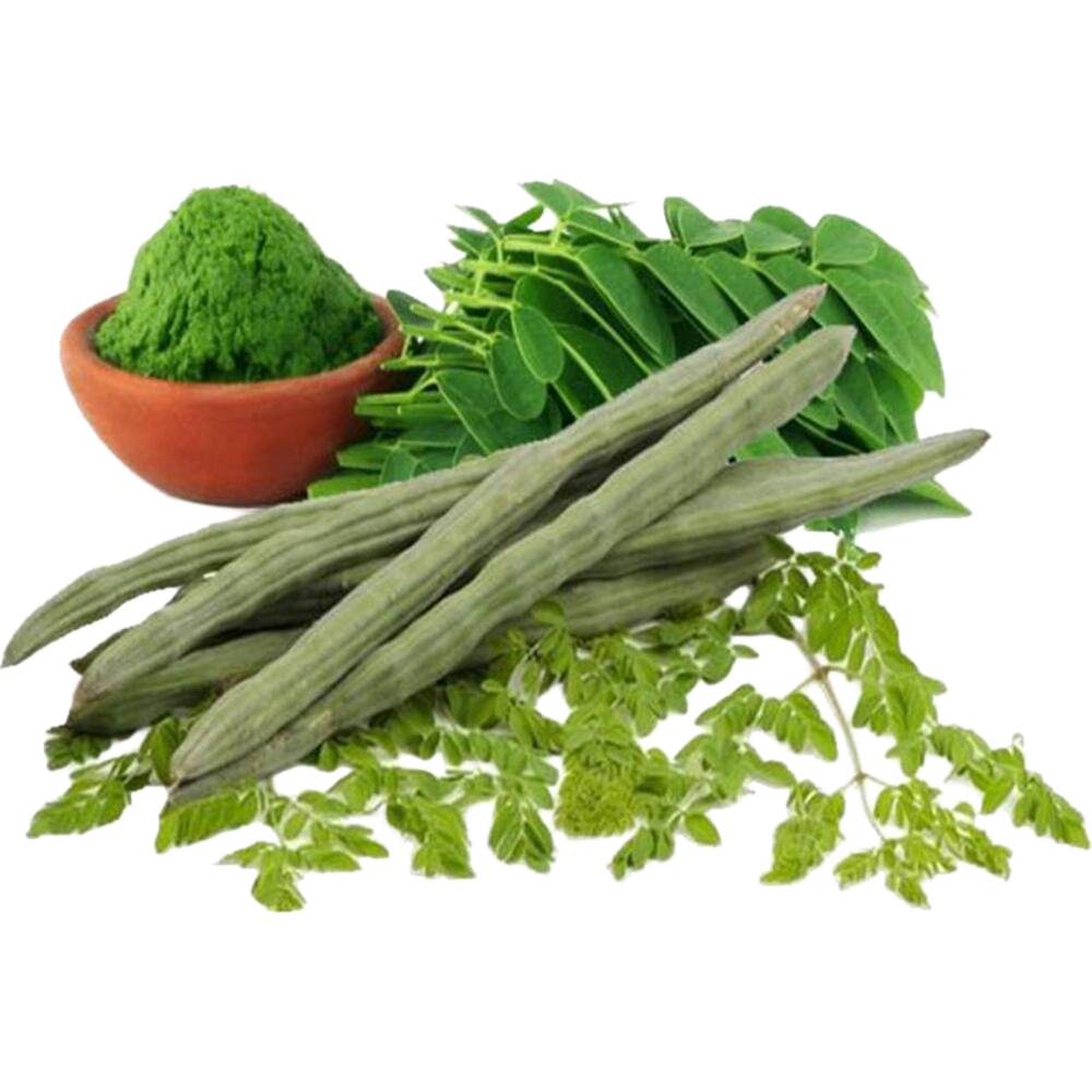 Fresh Moringa