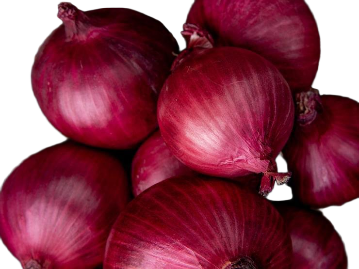 Fresh Onion