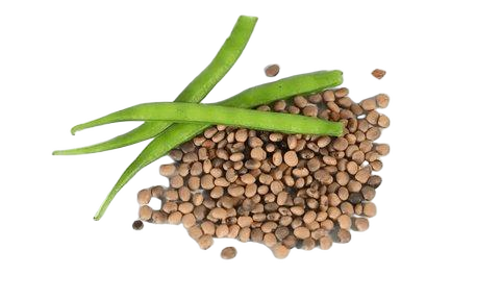 Guar Gum