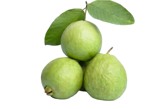 Fresh Guava