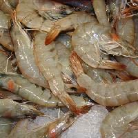 झींगा अचार