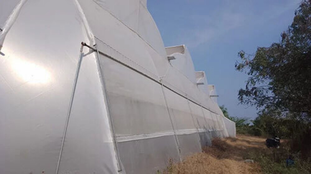 Second Hand Polyhouse Work - Coating Type: Anti-corrosive Coated Pipes