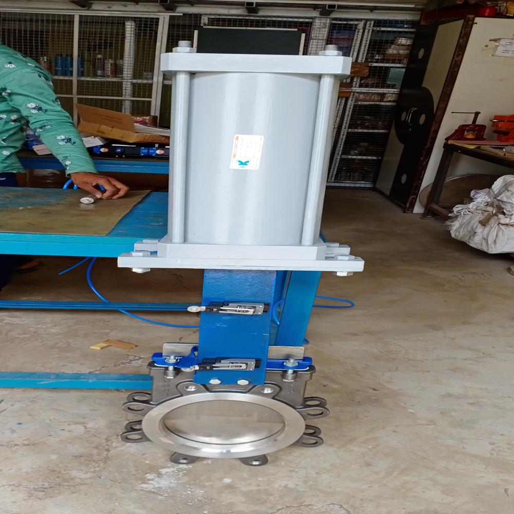 Knife Gate Valve