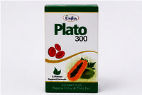 Plato 300