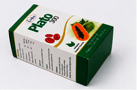 Plato 300