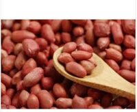 Natural Peanut Seeds