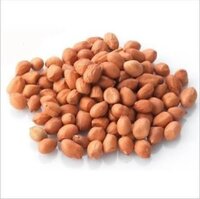 Natural Peanut Seeds