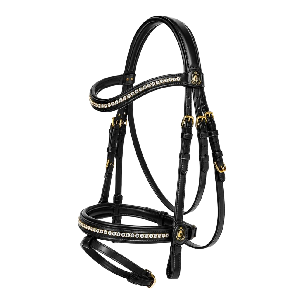 Horse Leather Bridle
