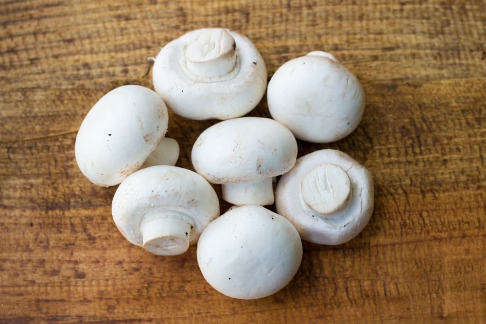 White Button Mushroom