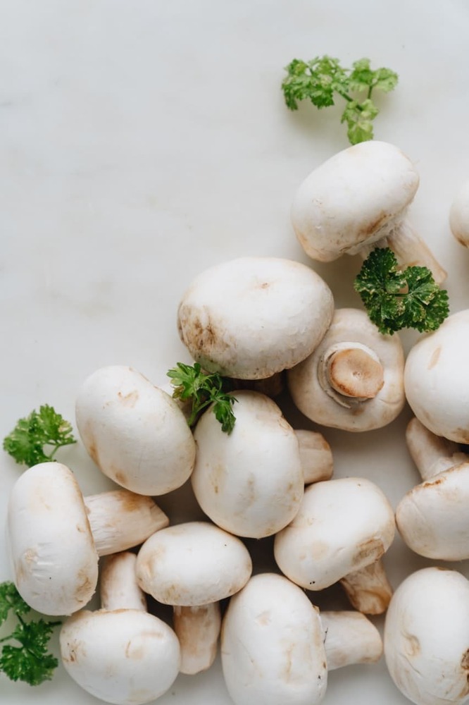 White Button Mushroom - Cultivation Type: Commonly Cultivated In Controlled Environment