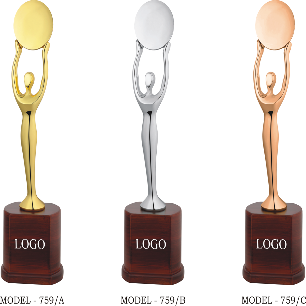 Attractive Metal Trophy