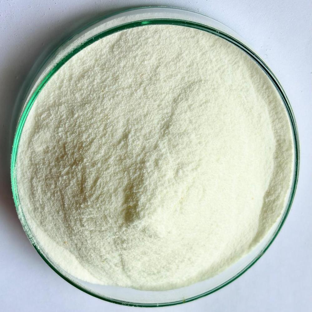 Lactobaccillus Acidophilus - Application: Pharmaceutical