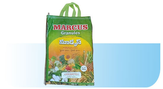 Printed Loop Handle Bags