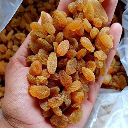 Dried Resin