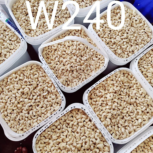 W 240 Cashew Nut