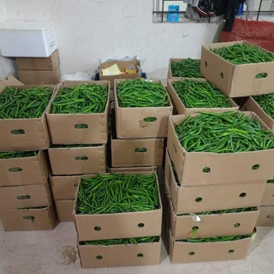 Green Chilli