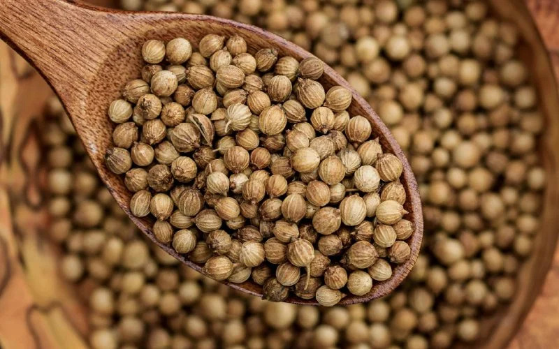 Coriander Seed