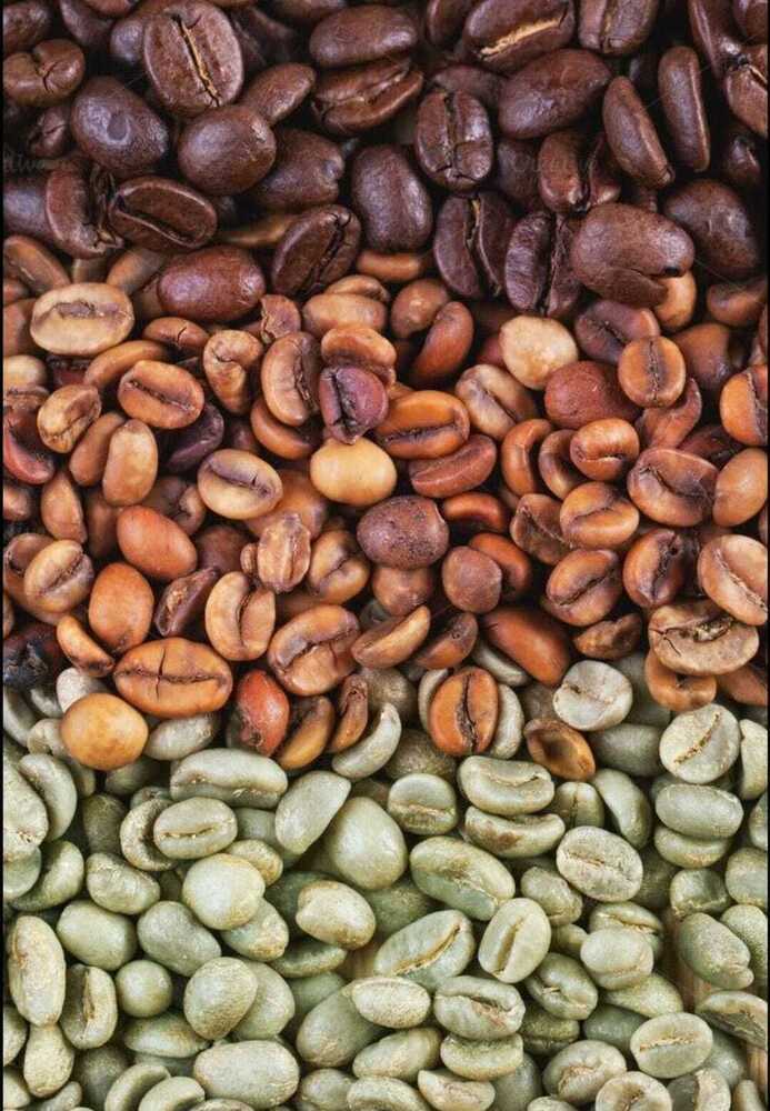 Coco Bean