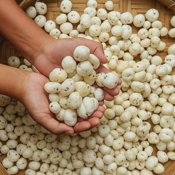 Organic Makhana