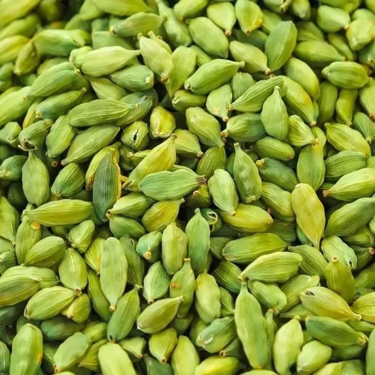 Green Cardamom