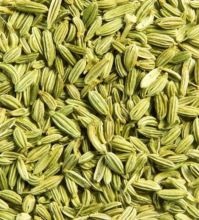 Fennel Seeds (Saunf) - Color: Greenish
