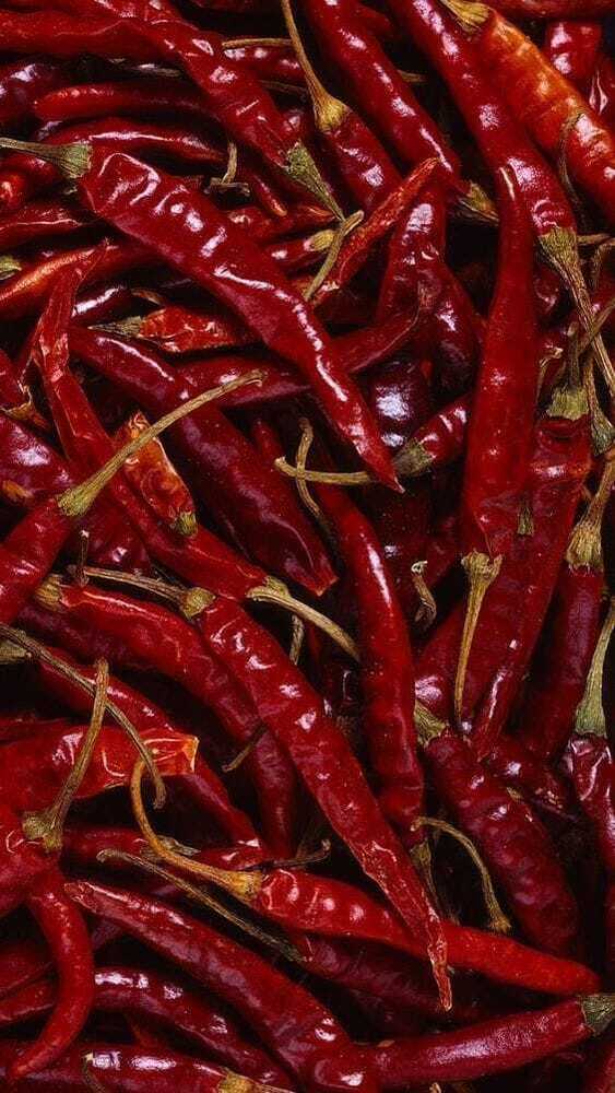 Organic Red Chilli