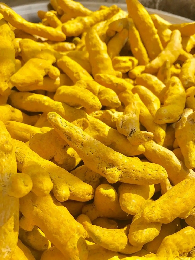 Whole Turmeric / Powder - Color: Bright Yellow