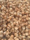 coconut shell