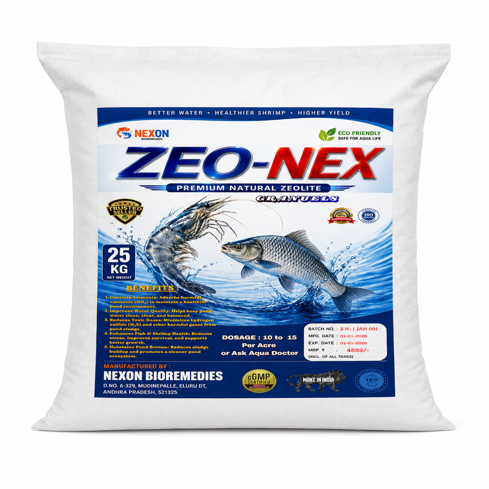 Zeolite Granules - Natural Zeolite 3-5mm White Beads, High Adsorption Capacity, Thermal Stable