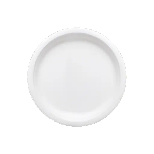 9 Inch White Round Plate