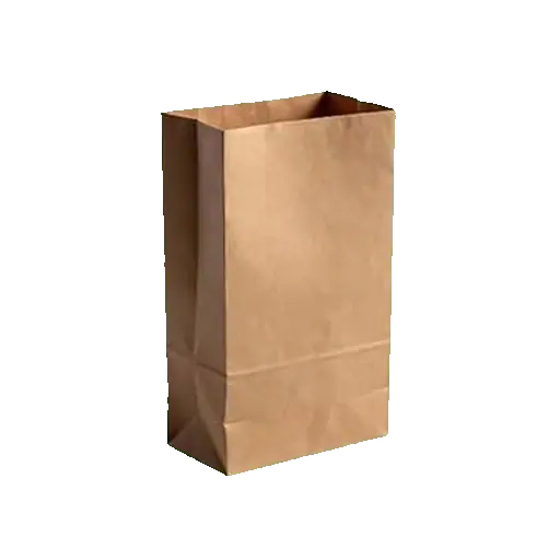 Large Brown Paper Carry Bags