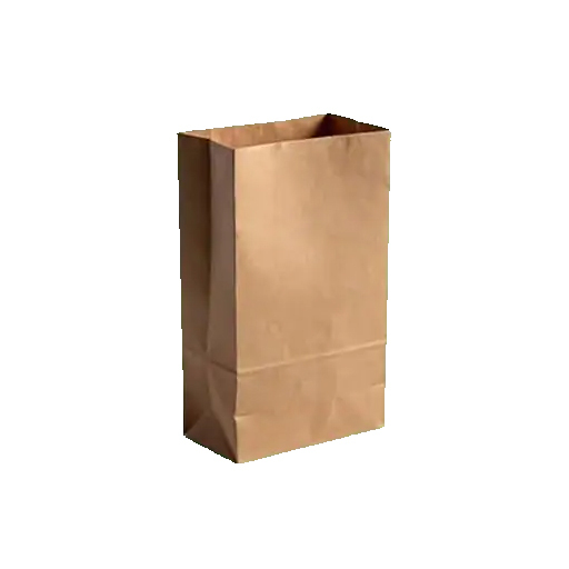 Medium Brown Paper Carry Bags
