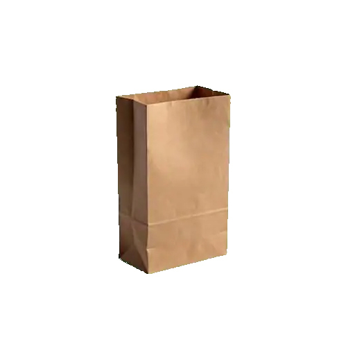 Small Brown Paper Carry Bags