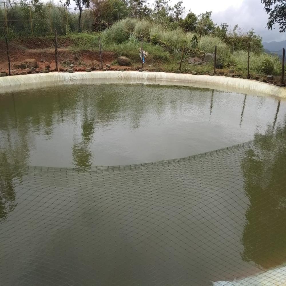 Fish Pond Tarpaulin
