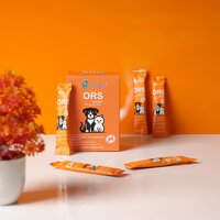 PET ORS SACHET