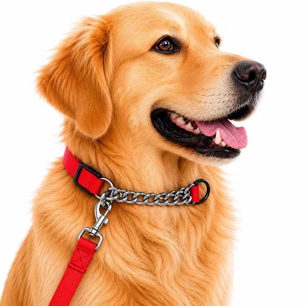 Dog Leash