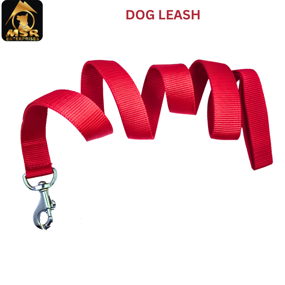 Dog Leash