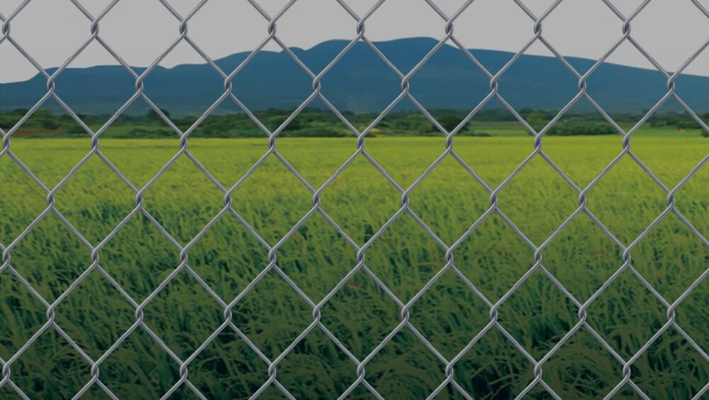 Chain Link Fencing