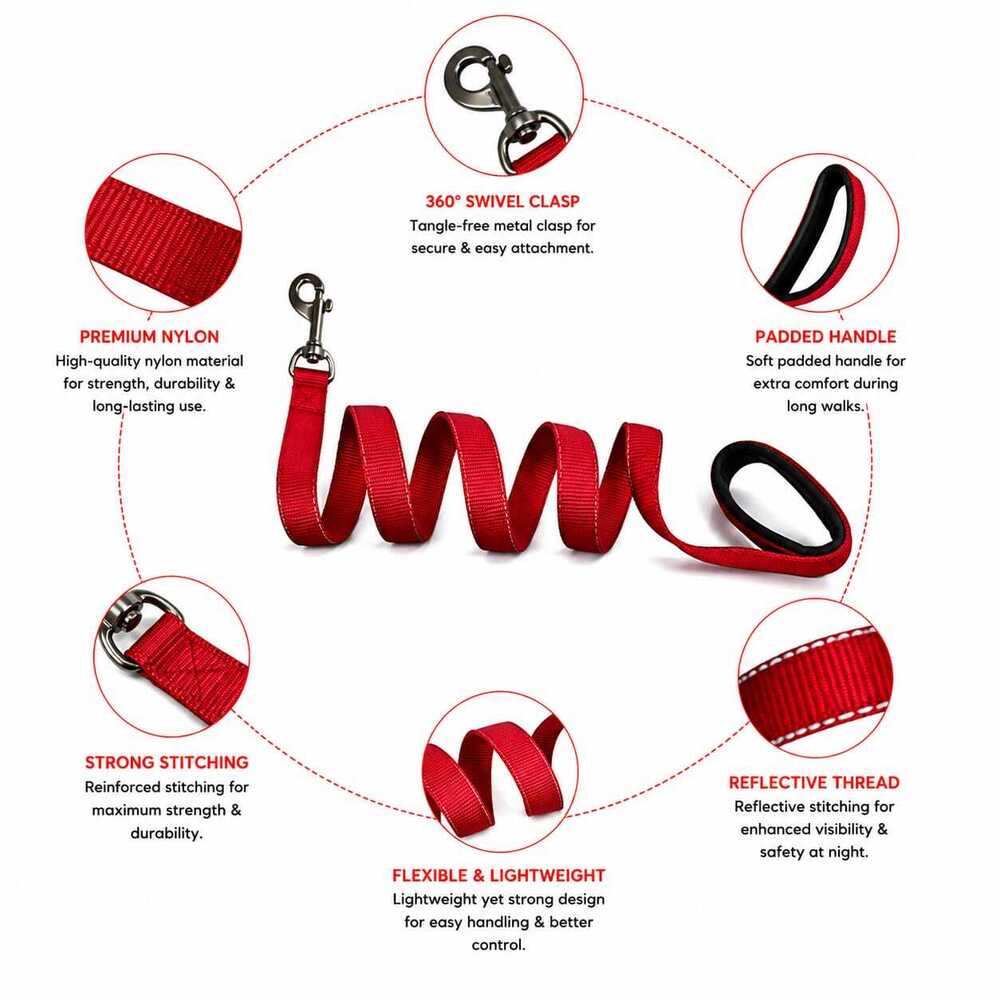Dog Leash Padded