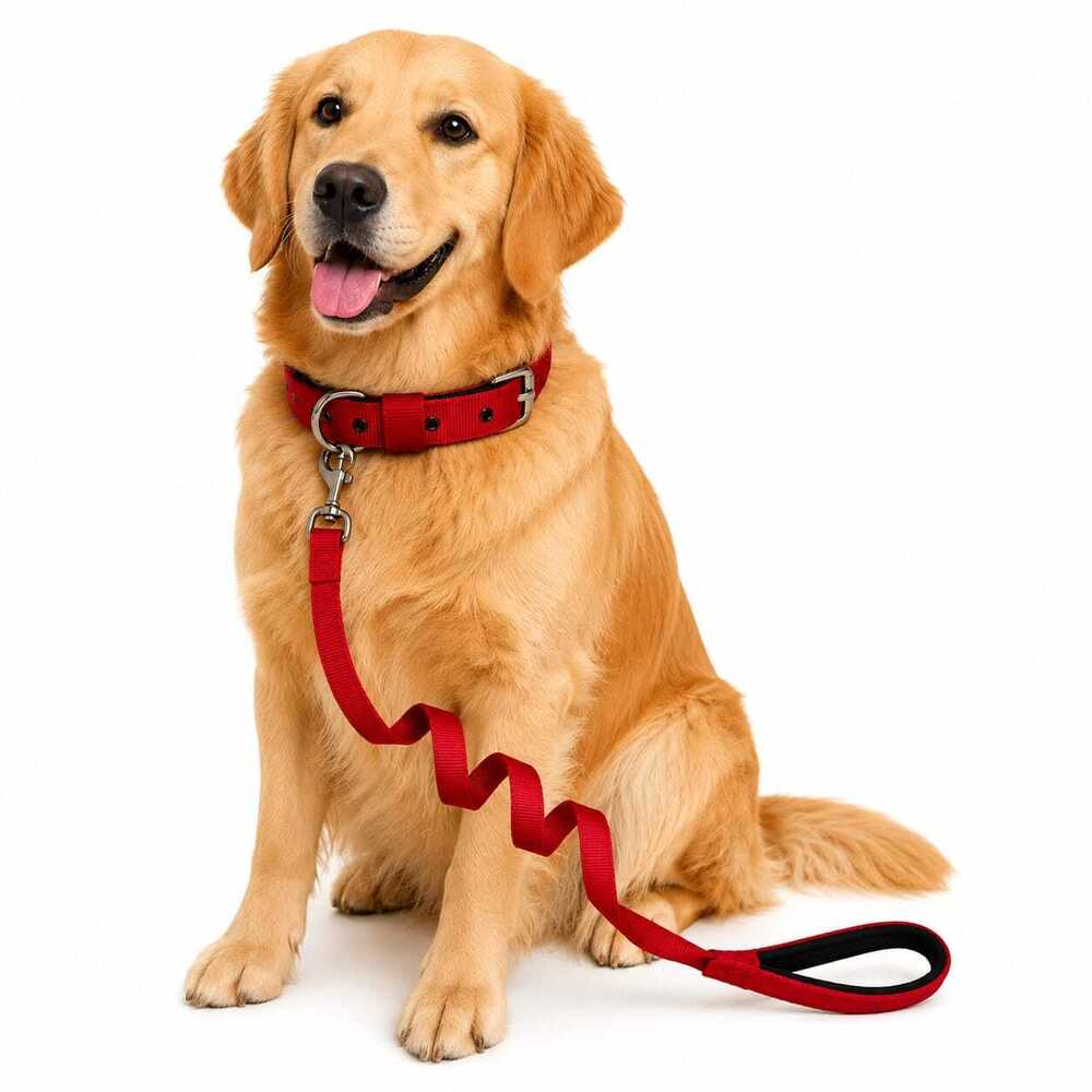 Dog Leash Padded