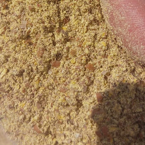Chana Churi
