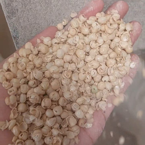 Matar Chilka