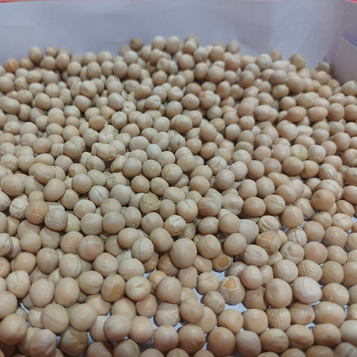 Yellow Peas