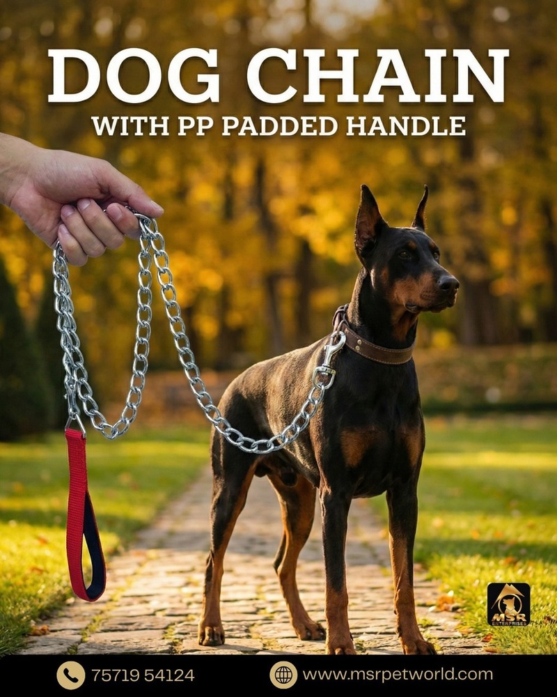 DOG CHAIN  PADDED HANDLE