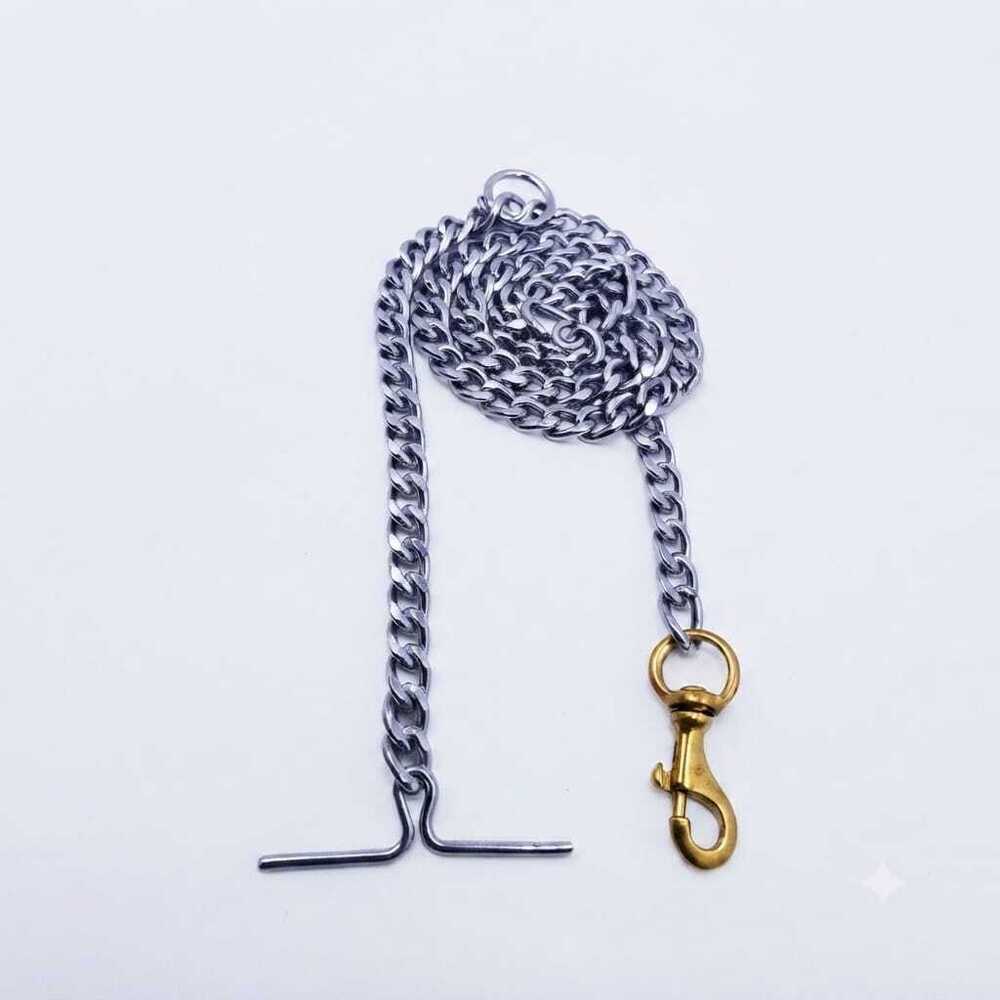 Dog Chain & Brass Hook