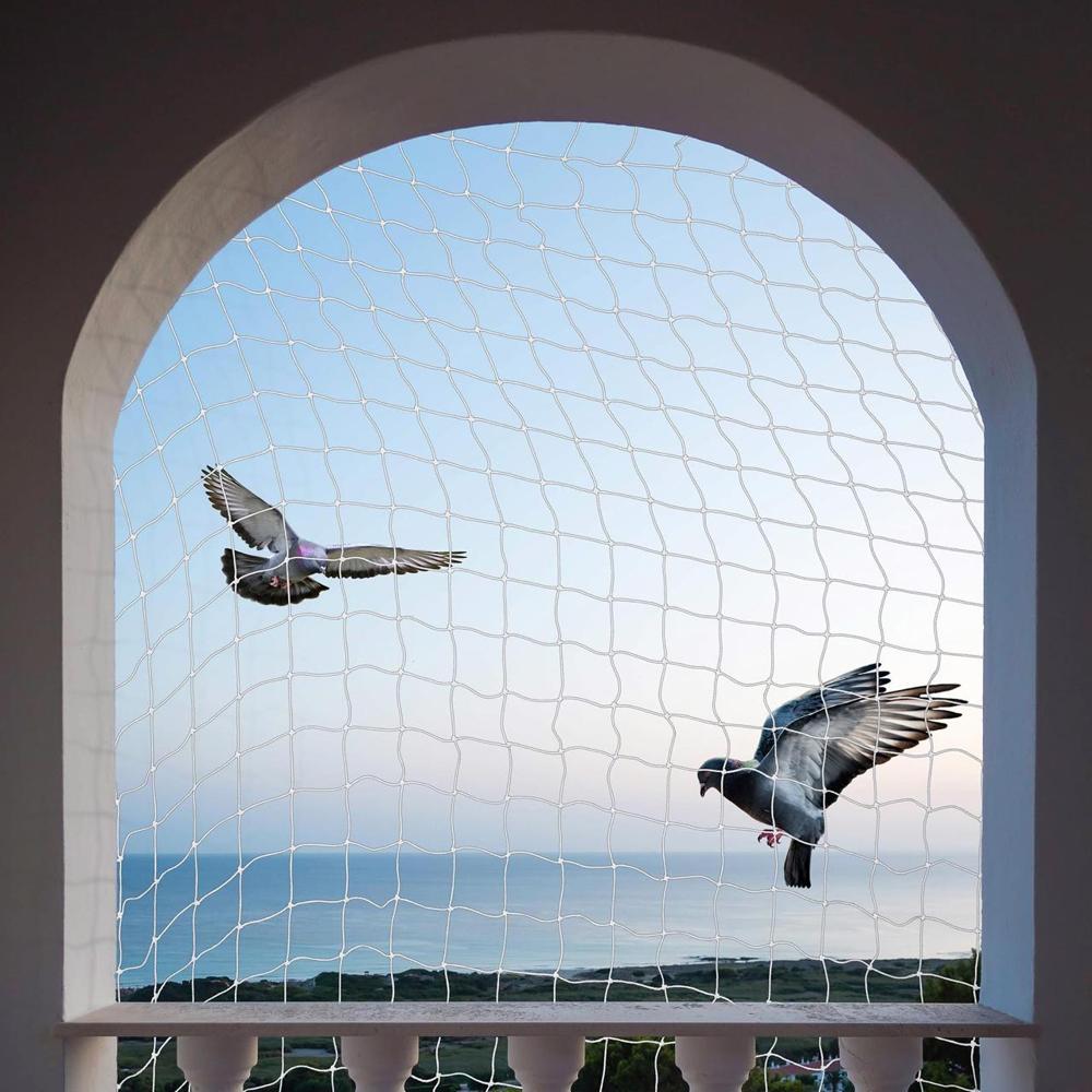 BIRD NET