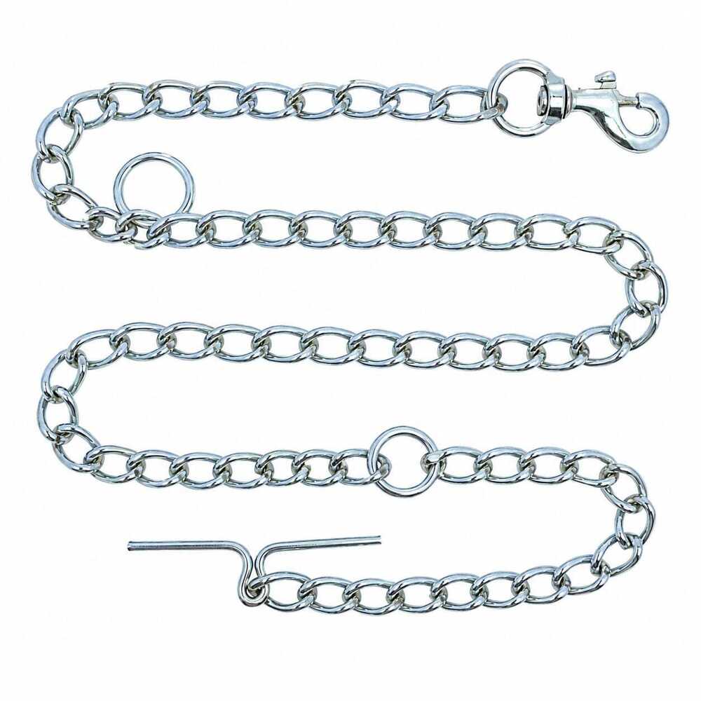 Dog Chain