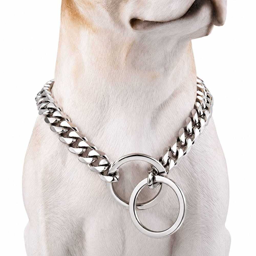 Dog Chain & Choke