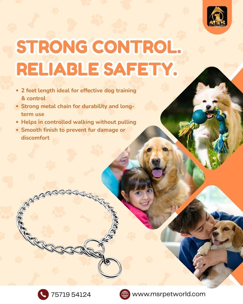 Dog Chain & Choke Chain