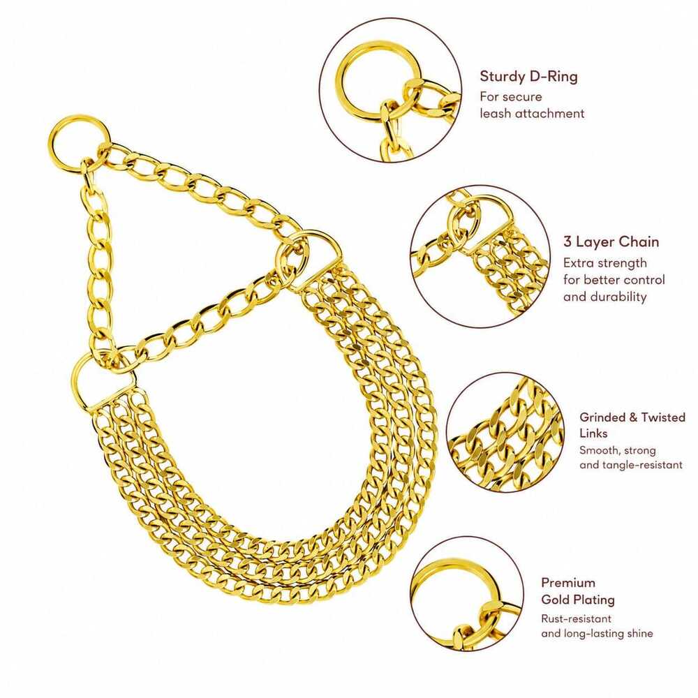 Dog Chain Choke Collar & Color Yellow Gold